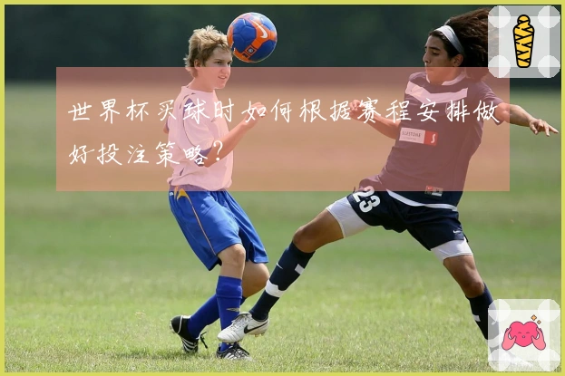 世界杯买球时如何根据赛程安排做好投注策略？