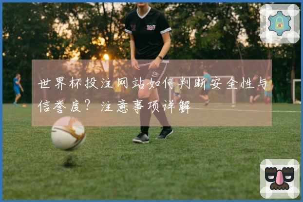 世界杯投注网站如何判断安全性与信誉度？注意事项详解
