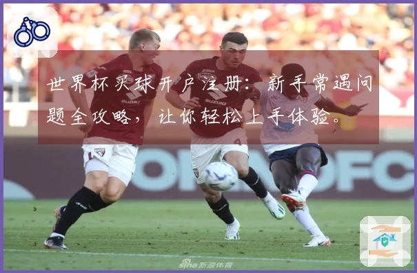 世界杯买球开户注册：新手常遇问题全攻略，让你轻松上手体验。