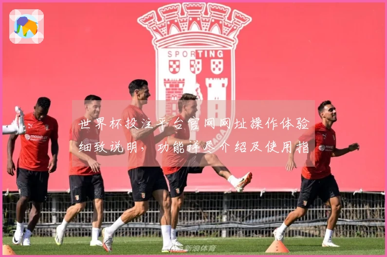 世界杯投注平台官网网址操作体验细致说明，功能详尽介绍及使用指引