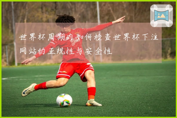世界杯周期内如何检查世界杯下注网站的正规性与安全性