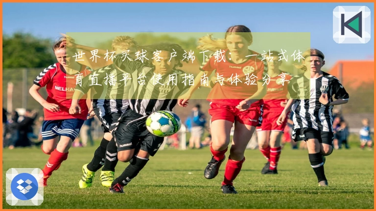 世界杯买球客户端下载：一站式体育直播平台使用指南与体验分享