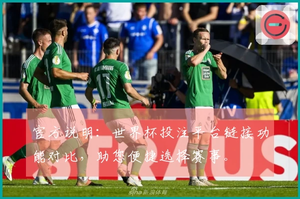 官方说明:世界杯投注平台链接功能对比,助您便捷选择赛事。