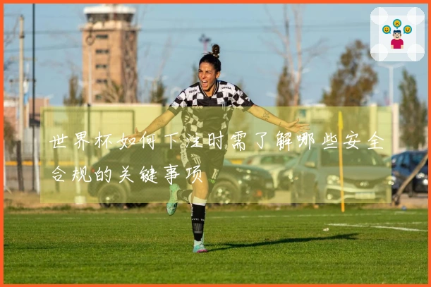 世界杯如何下注时需了解哪些安全合规的关键事项