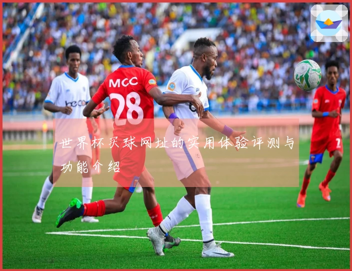世界杯买球网址的实用体验评测与功能介绍