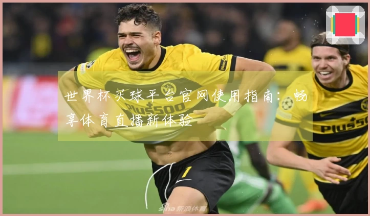 世界杯买球平台官网使用指南：畅享体育直播新体验