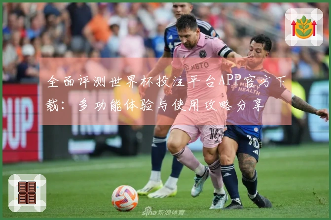 全面评测世界杯投注平台APP官方下载：多功能体验与使用攻略分享