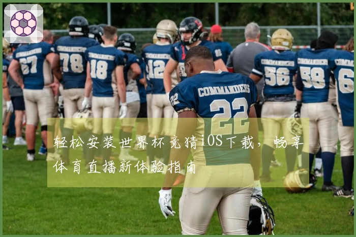 轻松安装世界杯竞猜iOS下载，畅享体育直播新体验指南