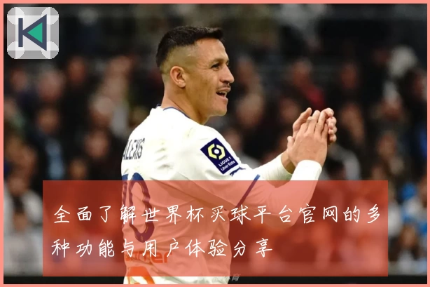 全面了解世界杯买球平台官网的多种功能与用户体验分享
