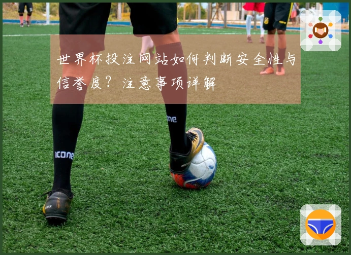 世界杯投注网站如何判断安全性与信誉度？注意事项详解