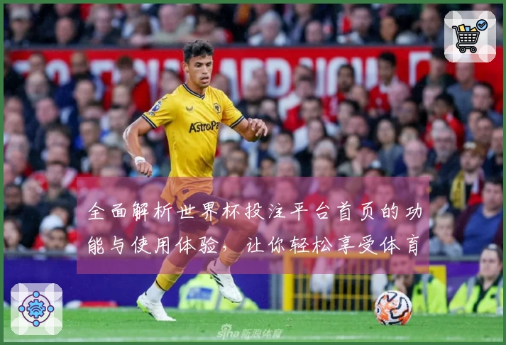 全面解析世界杯投注平台首页的功能与使用体验，让你轻松享受体育直播！