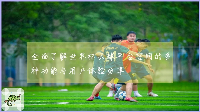 全面了解世界杯买球平台官网的多种功能与用户体验分享