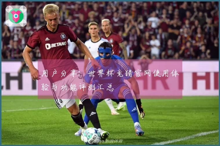 用户分享：世界杯竞猜官网使用体验与功能评测汇总